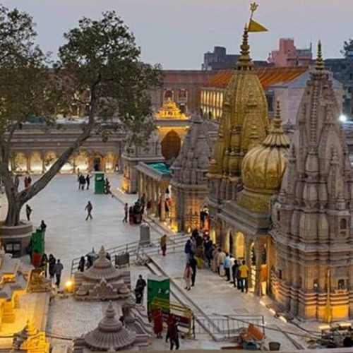 KASHI 1